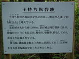 因幡 景石子持松ノ砦の写真