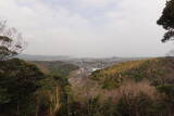 因幡 勝山城の写真