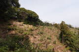 因幡 勝山城の写真