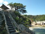 因幡 桐山城の写真