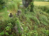 因幡 私部城の写真