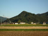因幡 私部城の写真