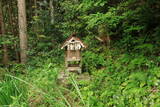 因幡 荒神山城の写真