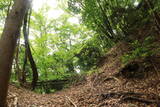 因幡 荒神山城の写真