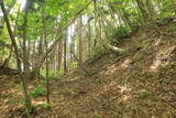 因幡 荒神山城の写真
