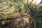 因幡 栗谷城の写真