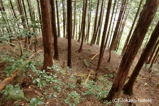 因幡 狗尸那城の写真