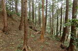 因幡 狗尸那城の写真
