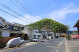 因幡 丸山城(鳥取市丸山町)の写真