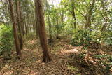 因幡 丸山城(鳥取市丸山町)の写真