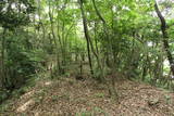 因幡 三津ヶ崎本陣山城の写真