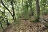 因幡 三津ヶ崎本陣山城の写真