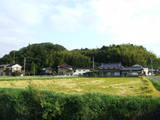 因幡 妙見山城の写真