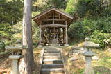 因幡 岡崎神社所在古城の写真