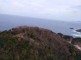 因幡 大崎城の写真