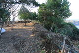因幡 大崎城の写真