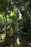 因幡 山王社裏山城の写真