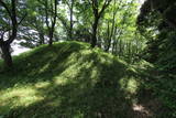 因幡 山王社裏山城の写真