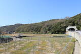 因幡 爵山城の写真