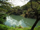 因幡 鹿野城の写真