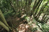 因幡 布勢天神山城の写真