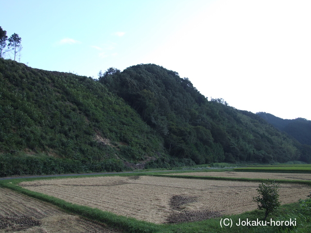 因幡 寺山城の写真