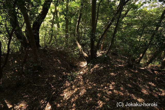 因幡 羽柴秀長陣の写真