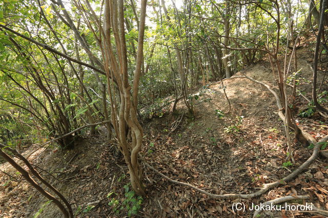 因幡 昼食山高野駿河守陣所の写真