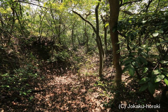 因幡 本陣山南西陣1の写真