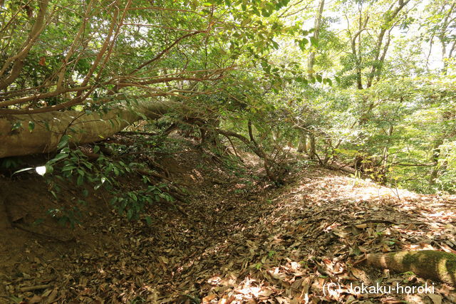 因幡 本陣山西陣の写真