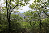 因幡 錐山城の写真