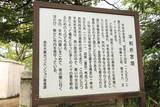 因幡 天徳寺山城の写真