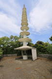因幡 天徳寺山城の写真