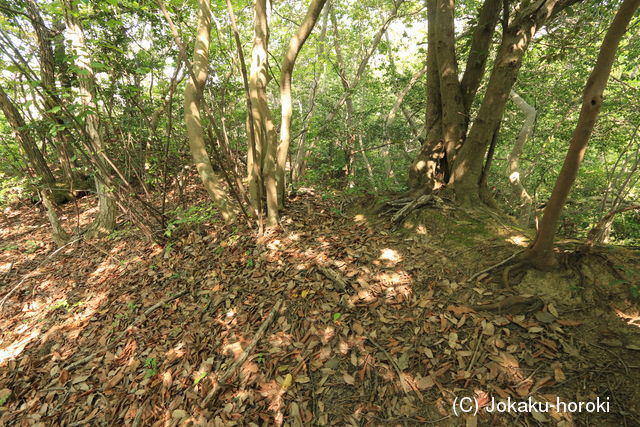 因幡 山守東砦の写真