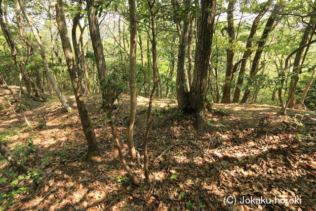 因幡 山守ノ砦の写真