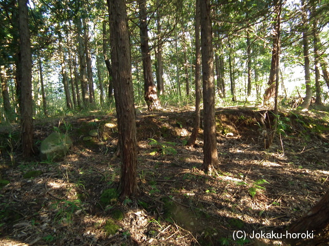 因幡 宇倍山五本松城の写真