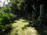 因幡 鵜殿大隅陣屋の写真