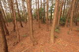 伊勢 城山城の写真
