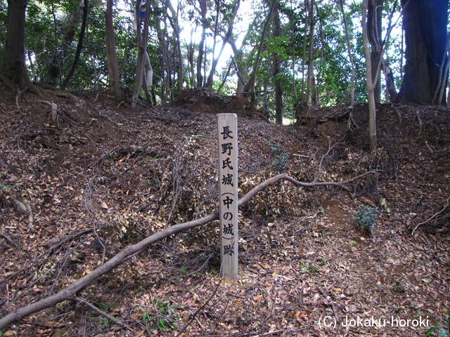 伊勢 細野城の写真