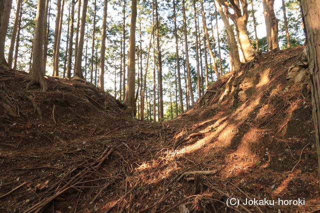 伊勢 一之瀬城(西の城)の写真