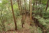 伊勢 波瀬城(一志町)の写真