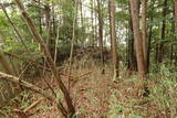 伊勢 波瀬城(一志町)の写真