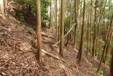 伊勢 波瀬城(一志町)の写真