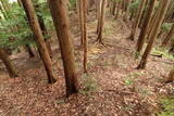 伊勢 波瀬城(一志町)の写真