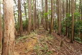 伊勢 波瀬城(一志町)の写真