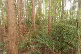 伊勢 池村城の写真