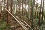 伊勢 池村城の写真