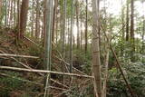 伊勢 池村城の写真