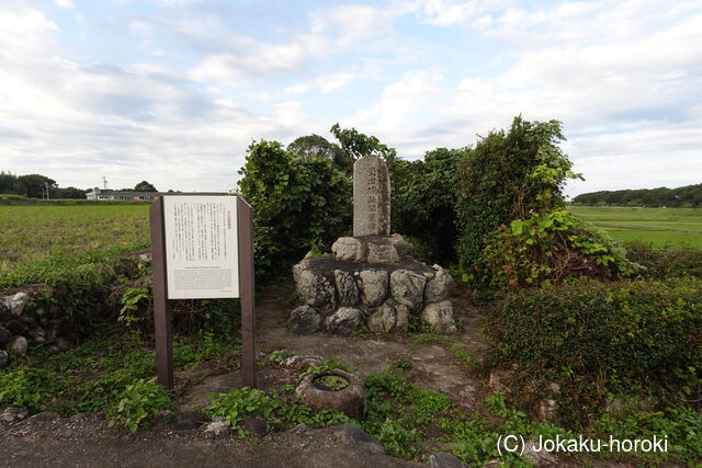 伊勢 岩出城の写真