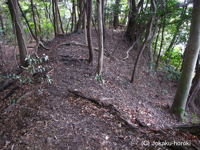 伊勢 上笠田城の写真